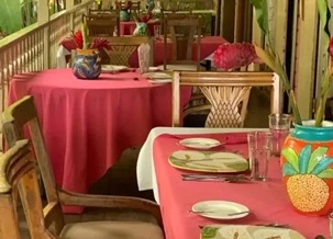 The-Pink-Plantation