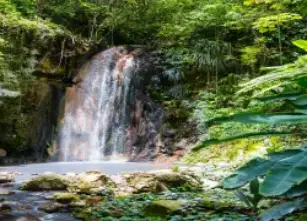 Diamond falls St Lucia Tour